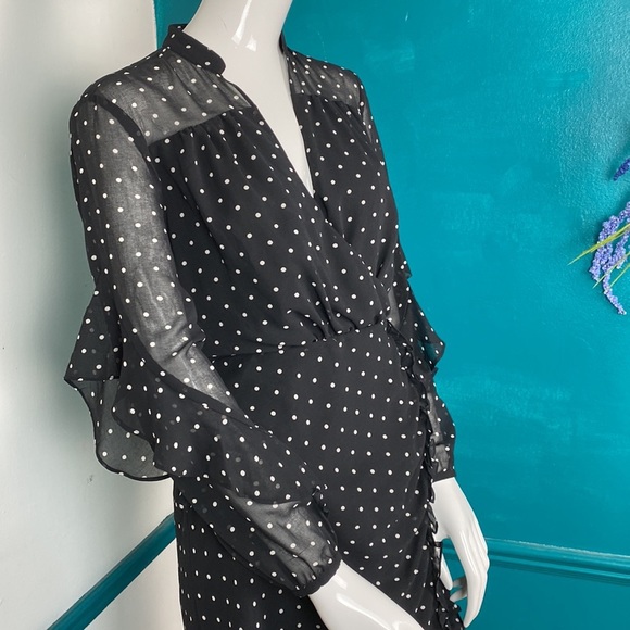 Rachel Roy polka dot dress with sheer sleeves a ruffle detail. - Picture 4 of 7